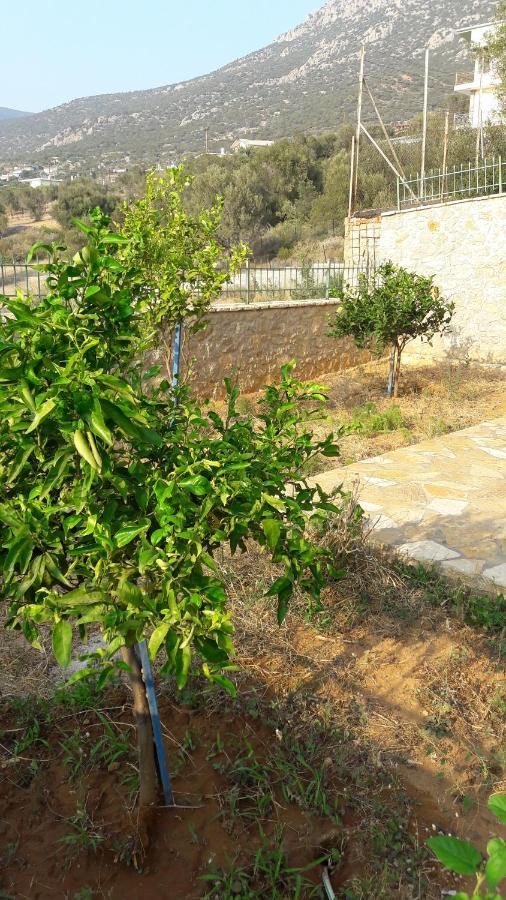Εξωτικο Διαμερισμα Με Θεα Την Παραλια Αλυκης Villa Alikí Exteriör bild
